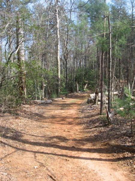 A dirt path winds through a wooded area, surrounded by tall trees and underbrush. The ground is covered with fallen leaves, and patches of sunlight filter through the branches above, creating a serene atmosphere. No Tell Trail mountain bike trail.