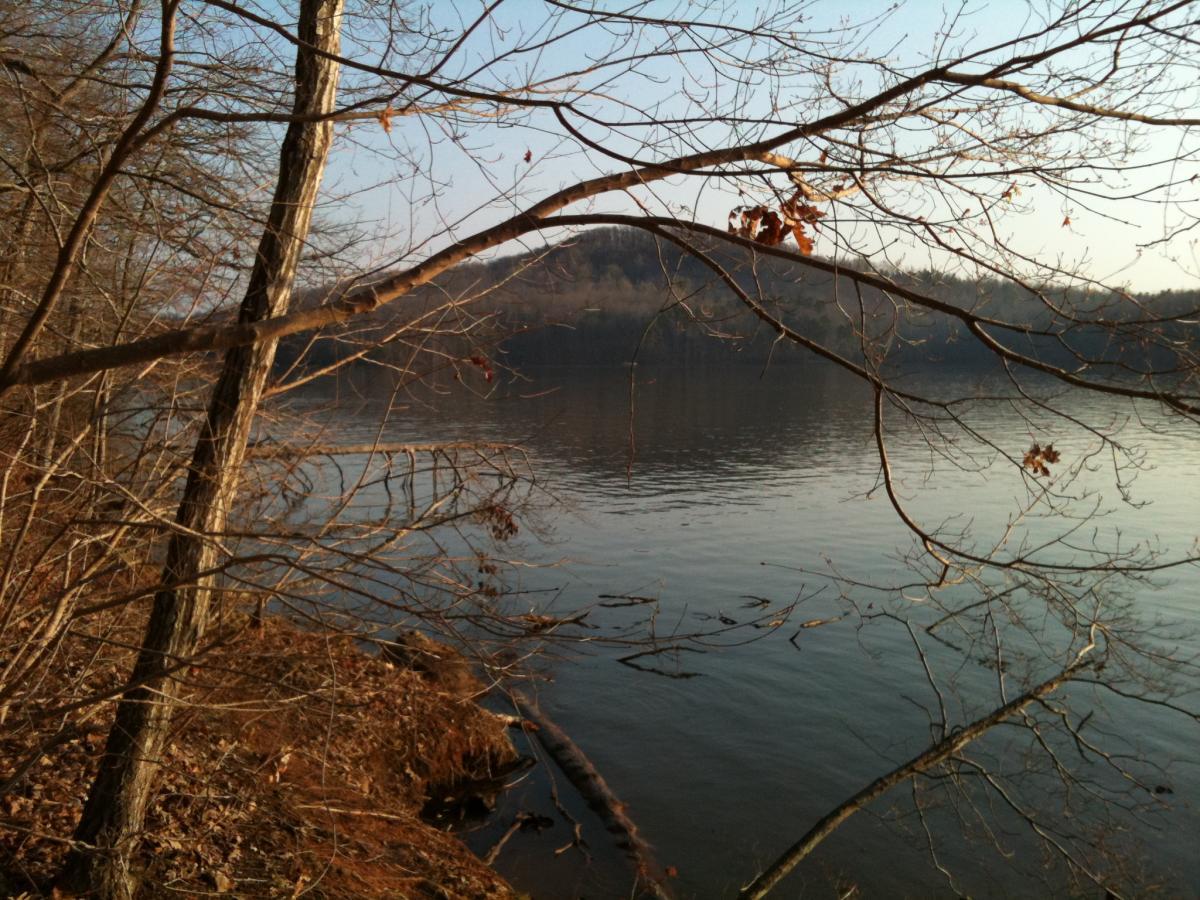 A tranquil lakeside scene featuring bare trees and calm water. In the foreground, branches with few leaves extend into the frame, while in the background, gentle hills rise against a clear sky. The serene water reflects the surrounding landscape, creating a peaceful, natural setting. Sunrise mountain bike trail.