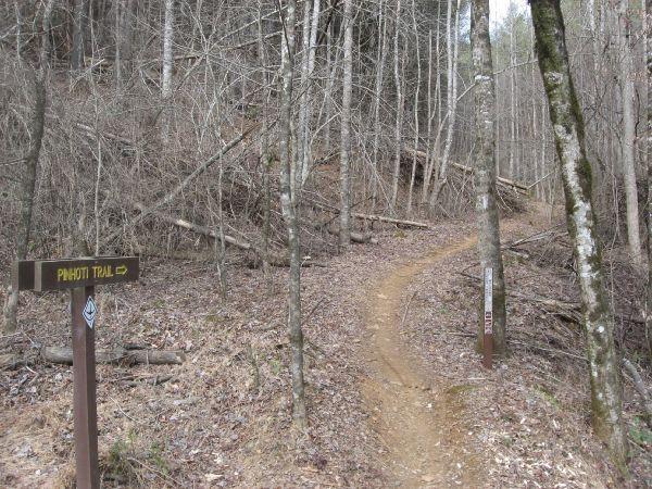 A dirt path winding through a forest, with bare trees on either side. A signpost on the left indicates the direction of the Pinhoti Trail. The path curves gently ahead, surrounded by dried leaves and fallen branches. Pinhoti Trail: P2 mountain bike trail.