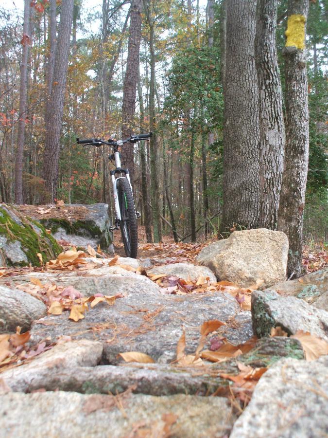 A mountain bike parked on a rocky trail surrounded by autumn-colored leaves and tall trees, with a marked trail post visible in the background. Bartram Trail / West Dam / Wildwood Park mountain bike trail.