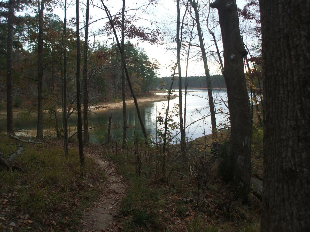 A tranquil forest scene featuring a winding dirt path leading to a serene lake, framed by tall trees with autumn leaves. The water reflects the soft light of an overcast sky, while the sandy shore is visible in the background, creating a peaceful natural landscape. Bartram Trail / West Dam / Wildwood Park mountain bike trail.