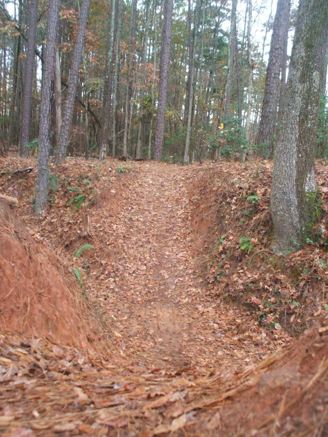 A dirt path winding through a forest, bordered by sloping banks covered in fallen leaves. Tall trees with sparse foliage are visible on either side, suggesting the image was taken in autumn. The path appears moderately used, leading into the distance. Bartram Trail / West Dam / Wildwood Park mountain bike trail.