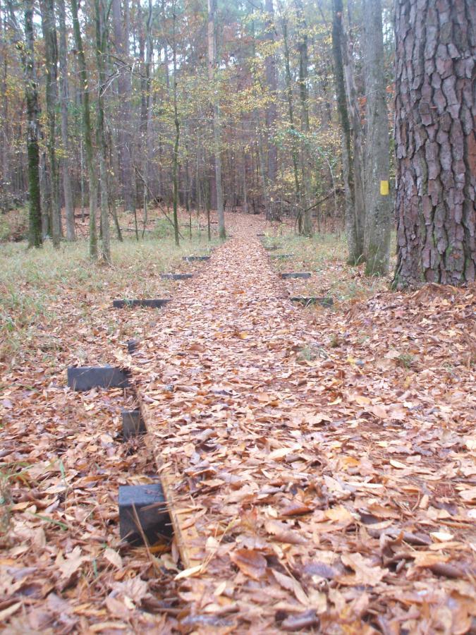 A wooded trail covered in fallen leaves, with wooden planks forming a walkway. The path winds through trees with autumn foliage, leading deeper into the forest. Some wooden support blocks are visible alongside the pathway. Bartram Trail / West Dam / Wildwood Park mountain bike trail.