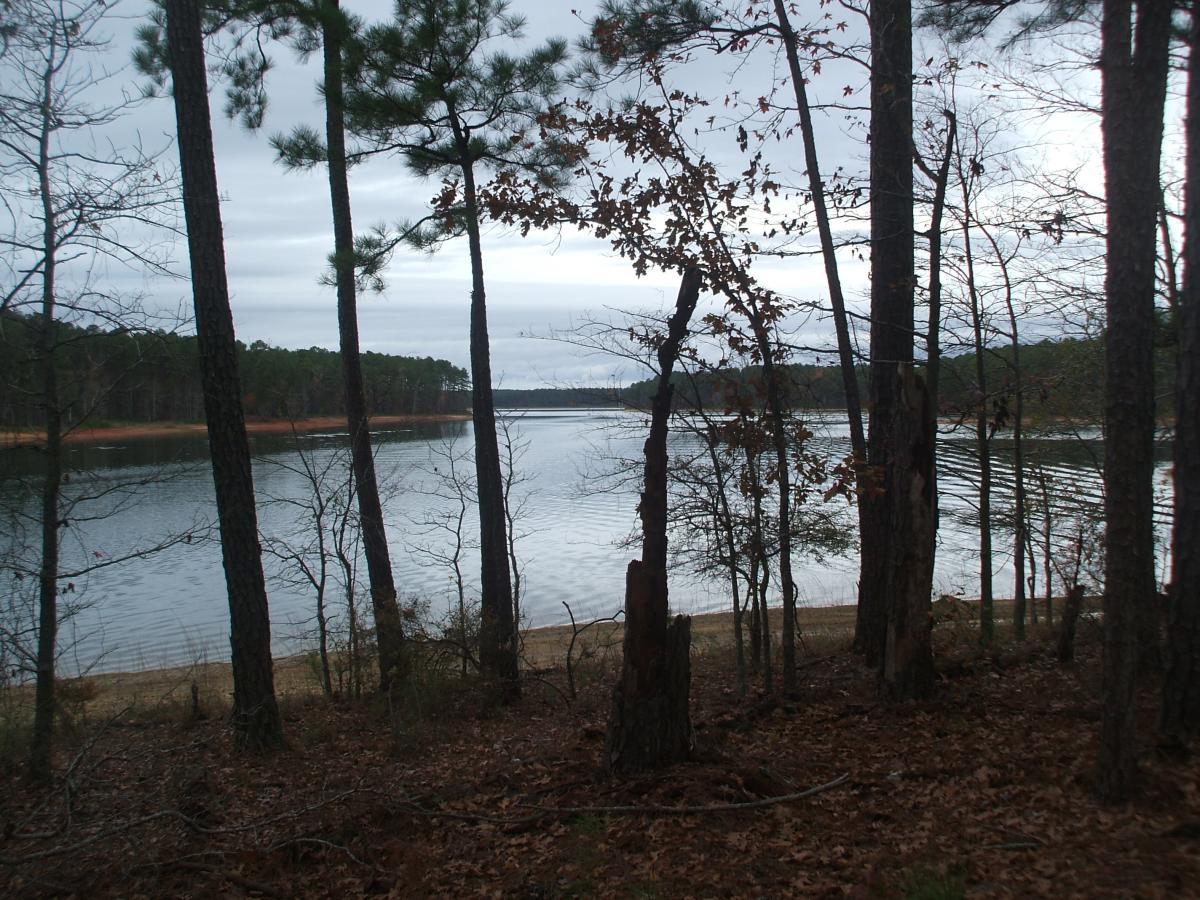 Serene lakeside view, framed by tall pine trees with a calm water surface reflecting a cloudy sky. Sparse foliage indicates late autumn, with a sandy shoreline visible in the foreground. Bartram Trail / West Dam / Wildwood Park mountain bike trail.