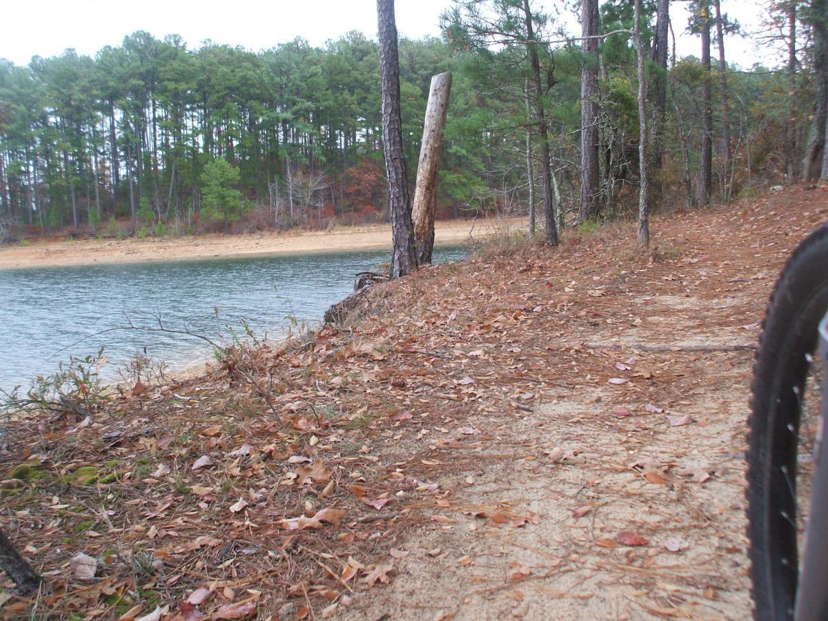A scenic view of a lake surrounded by trees, showing a sandy shoreline with scattered autumn leaves. In the foreground, a dirt path leads alongside the water's edge, with a few fallen branches and a wooden post visible. The background features a dense forest of pine trees, representing a tranquil outdoor setting. Bartram Trail / West Dam / Wildwood Park mountain bike trail.