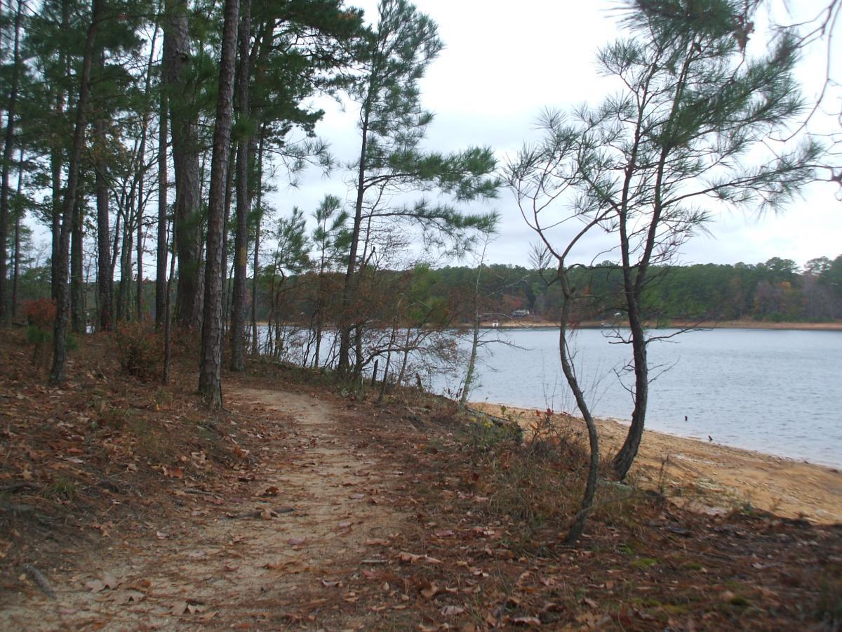 A winding dirt path lined with tall pine trees, leading toward a calm lake. The shoreline is visible on the left, with sandy areas and some foliage scattered along the path. The sky is overcast, reflecting a serene, peaceful atmosphere. Bartram Trail / West Dam / Wildwood Park mountain bike trail.
