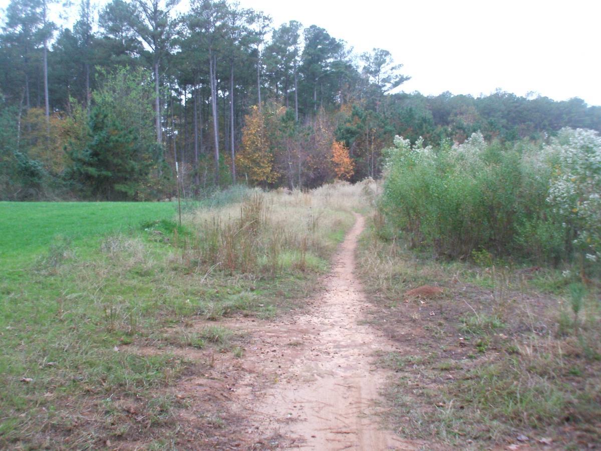 A winding dirt path through a grassy field leading into a wooded area, with tall trees and patches of colorful foliage in the background. The scene captures a tranquil and natural setting, with varying shades of green and hints of autumn color. Bartram Trail / West Dam / Wildwood Park mountain bike trail.