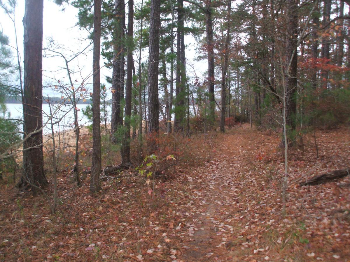 A narrow dirt path winding through a forest of tall trees, with fallen leaves scattered on the ground. In the background, a glimpse of a body of water can be seen through the trees, suggesting a tranquil natural setting during autumn. Bartram Trail / West Dam / Wildwood Park mountain bike trail.