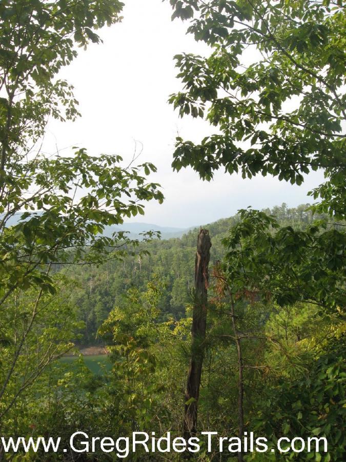 A serene landscape view featuring a lush green forest with various trees, overlooking hills in the background. There is a partially cloudy sky, and a prominent tree stump stands in the foreground, adding to the natural beauty of the scene. Tsali Recreation Area mountain bike trail.