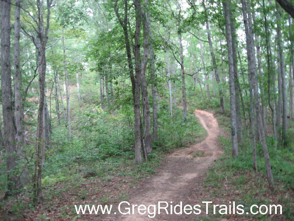 A winding dirt trail surrounded by lush green trees in a dense forest. The path curves through the trees, inviting exploration in a serene natural setting. Tsali Recreation Area mountain bike trail.