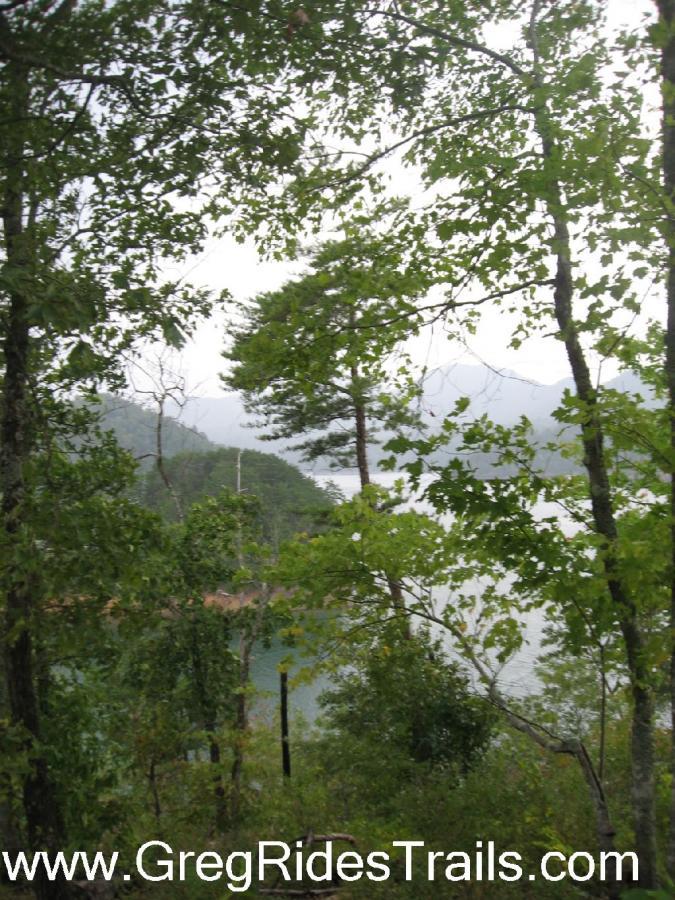 A scenic view of a lake surrounded by lush greenery and trees, with a misty atmosphere in the background. The scene captures the tranquility of nature, featuring various shades of green from the foliage and hints of distant hills. Tsali Left Loop mountain bike trail.