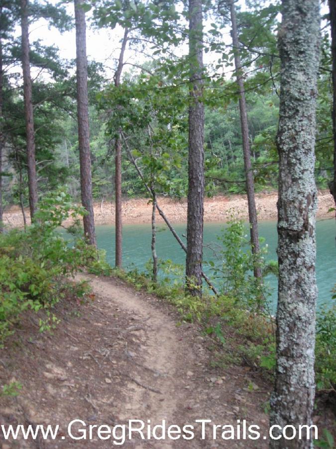 A narrow dirt trail winds through a wooded area, flanked by tall trees with green foliage. In the background, a calm blue-green body of water is visible, bordered by a rocky shore. The scene captures the tranquility of nature, inviting exploration and adventure. Tsali Left Loop mountain bike trail.
