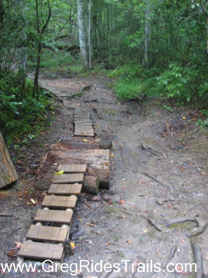 A narrow forest trail with a small wooden bridge made of planks crossing over muddy ground, surrounded by lush green vegetation and tall trees. Tsali Recreation Area mountain bike trail.