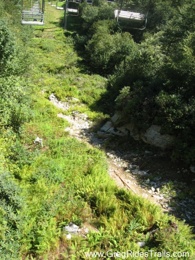 A scenic view of a mountain trail featuring lush green ferns and rocky terrain, with ski lift chairs visible in the background, indicating a mountainous or recreational area during daytime. Sugar Mountain Resort mountain bike trail.