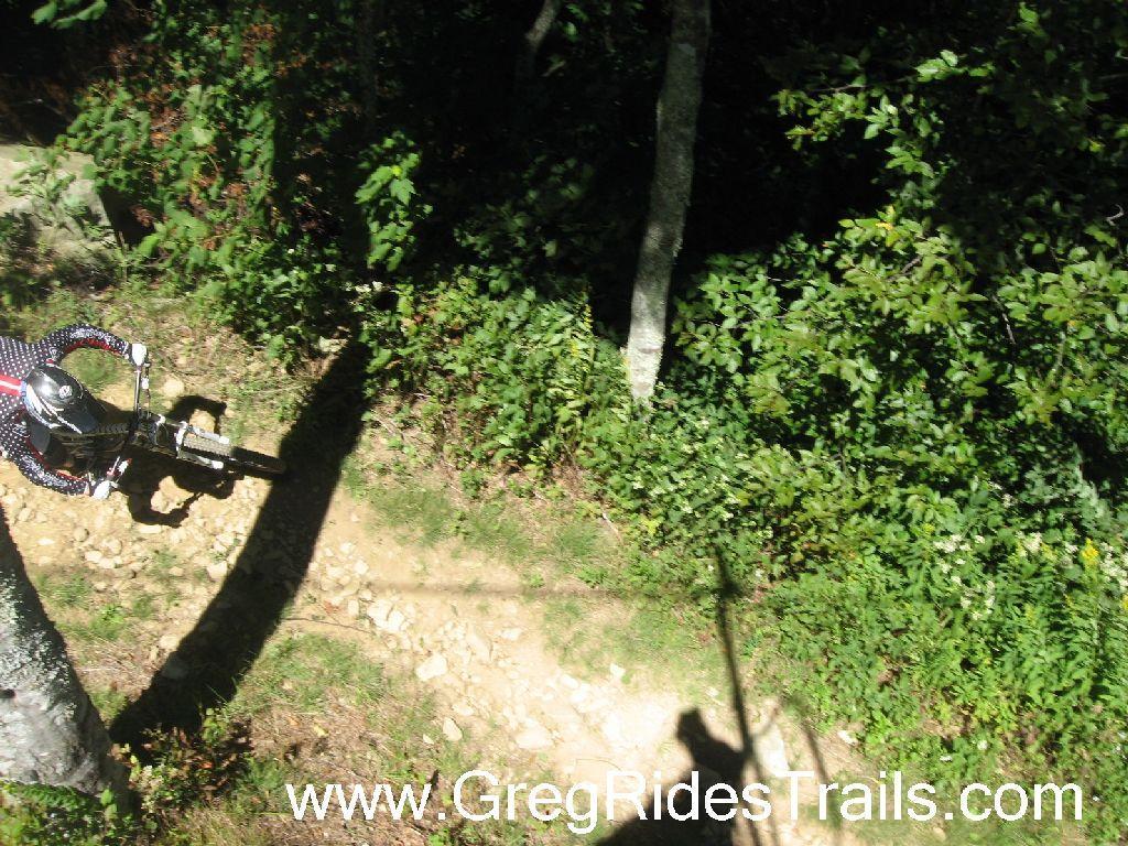 Aerial view of a mountain biker navigating a dirt trail surrounded by lush greenery and trees. The biker is wearing protective gear and appears to be in motion, casting a shadow on the ground as sunlight filters through the foliage. Sugar Mountain Resort mountain bike trail.