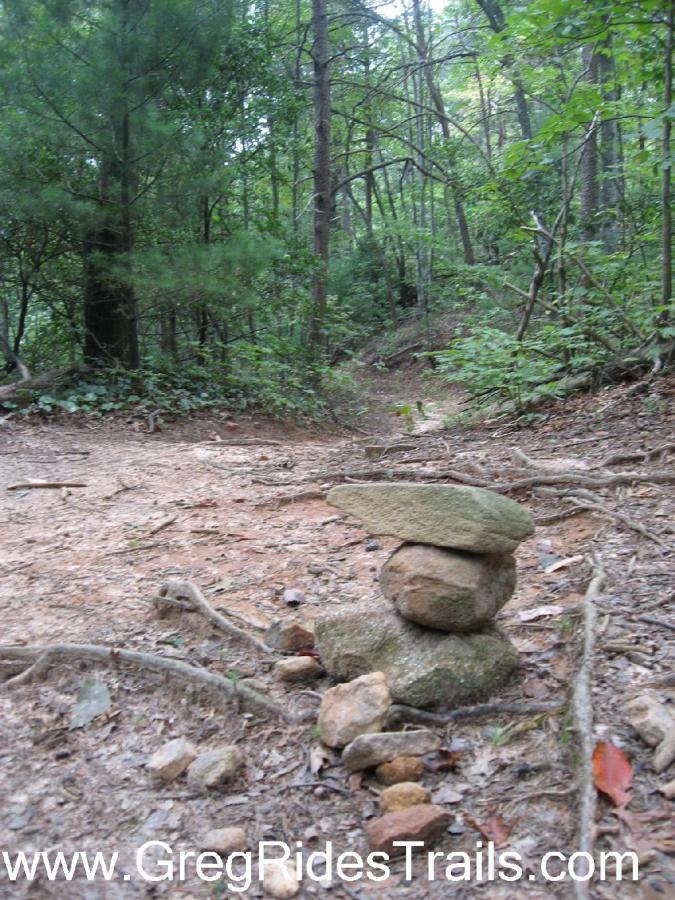 A stack of smooth stones balanced on top of each other, set against a backdrop of a forest trail with trees and greenery. The trail appears unpaved and meandering through the woods, suggesting a natural outdoor environment. Bull / Jake Mountain mountain bike trail.