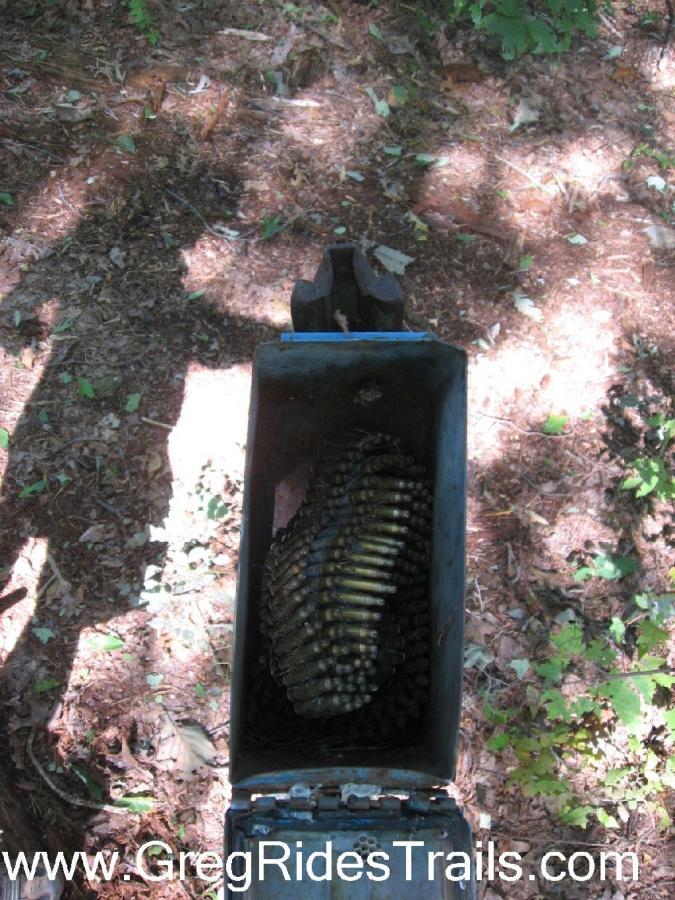 This image shows an open metal box resting on forest floor foliage, revealing a neatly arranged layer of bullet casings inside. Sunlight filters through the trees, casting shadows on the ground, which is covered with pine needles and leaves. Winding Stairs to Montgomery Creek Trail mountain bike trail.