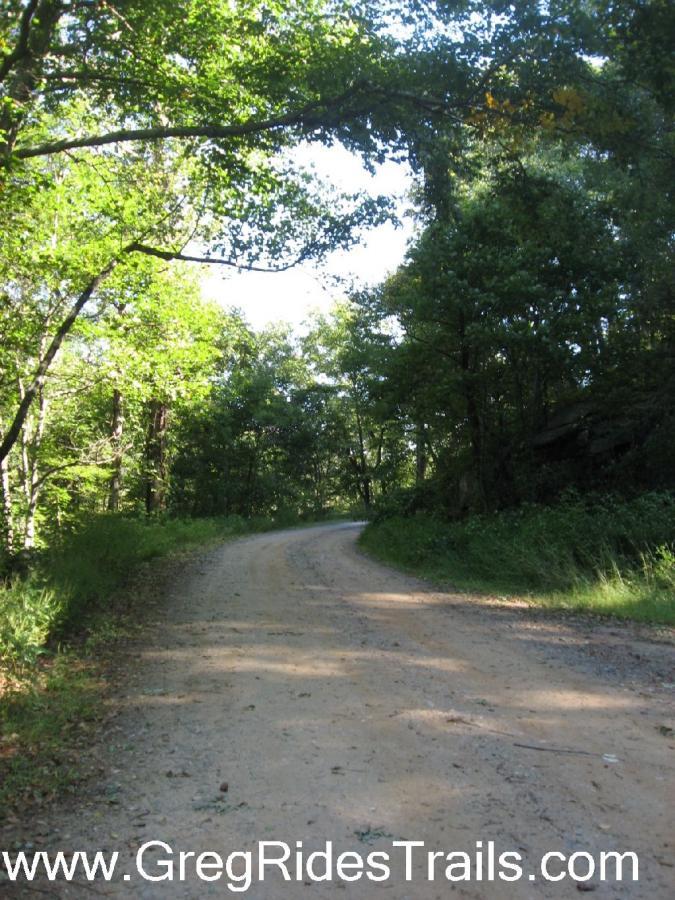 A winding dirt road surrounded by lush green trees and foliage, leading into a bright and serene forested area. The scene captures nature's tranquility, with dappled sunlight filtering through the leaves. Winding Stairs Loop mountain bike trail.