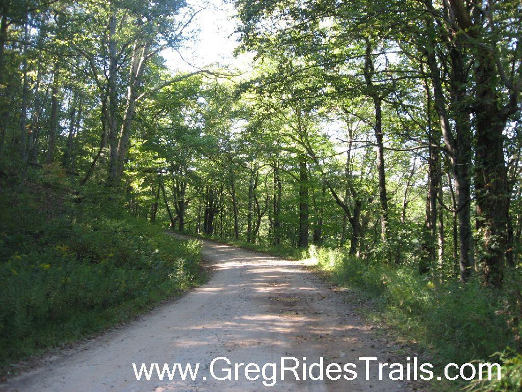 A peaceful dirt path winding through a lush green forest, surrounded by tall trees and vibrant foliage under a clear sky. Winding Stairs Loop mountain bike trail.