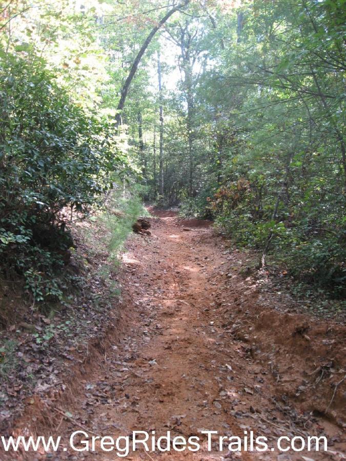 A dirt trail winding through a lush forest, flanked by greenery and sunlight filtering through the trees. The path appears well-trodden, with some exposed soil and roots visible along the edges. Jake to Bull Mountain Connecter mountain bike trail.
