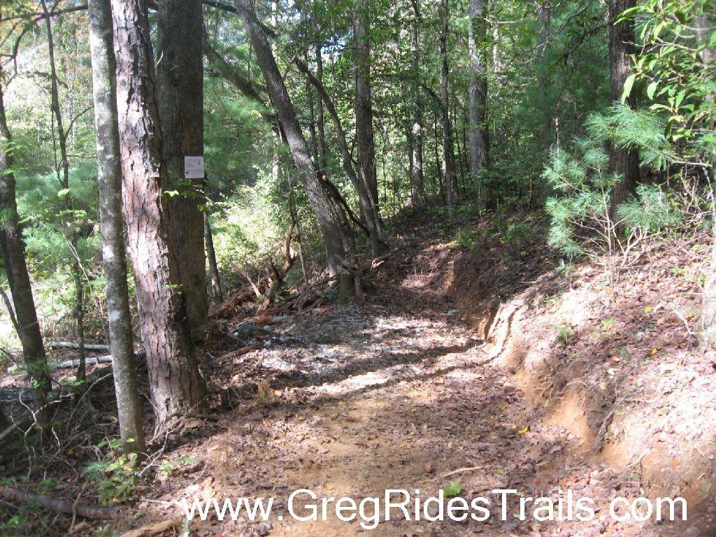 A forested trail winding through trees, showcasing a dirt path with exposed roots and loose gravel. The scene captures natural light filtering through the foliage, highlighting the earthy tones of the trail and surrounding vegetation. A sign mounted on a tree is visible in the background. Jake to Bull Mountain Connecter mountain bike trail.