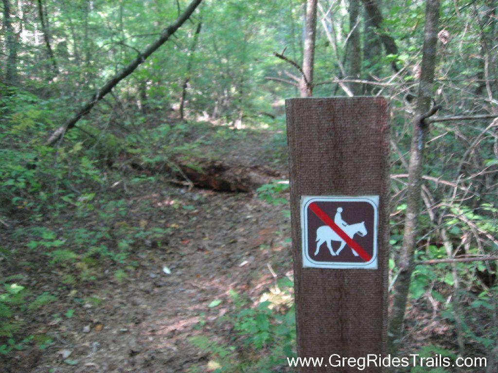 A wooden post in a forested area displaying a sign that prohibits horseback riding. The background features a natural trail with greenery and tree branches. Bull / Jake Mountain mountain bike trail.