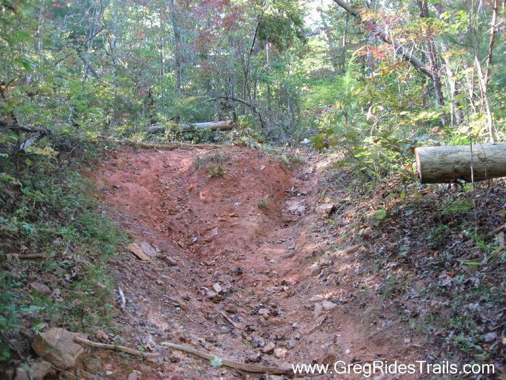 A dirt path in a wooded area, featuring reddish soil and scattered rocks. The trail shows signs of erosion with steep sides and is bordered by lush green vegetation and scattered fallen branches. Sunlight filters through the trees, creating a natural, serene setting. Bull / Jake Mountain mountain bike trail.