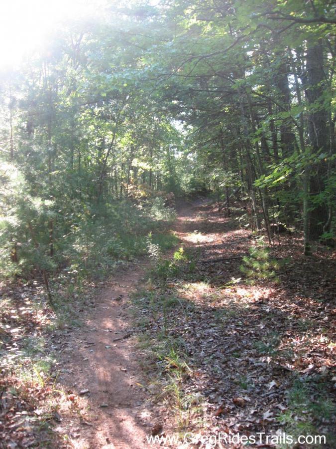 Bull / Jake Mountain mountain bike trail.