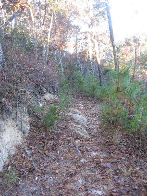 A narrow dirt hiking trail winding through a forested area with tall trees, sparse vegetation, and scattered rocks. The ground is covered with fallen leaves and soil, indicating a natural, unpaved path. Flint Ridge mountain bike trail.