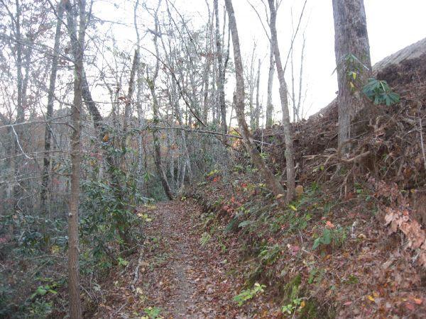 A narrow, winding trail through a wooded area, lined with trees and underbrush. The ground is covered in fallen leaves, and the path leads into a dense forest with varying shades of brown and green foliage. The scene is quiet and serene, capturing the essence of a tranquil natural setting. Flint Ridge mountain bike trail.