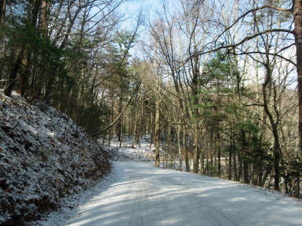 A snow-covered, winding dirt road surrounded by tall trees with sparse foliage, indicating early winter or late fall. The sky is clear and blue, adding a serene atmosphere to the peaceful forest scene. Winding Stairs Loop mountain bike trail.