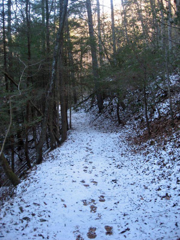 A snow-covered hiking trail winding through a forest, surrounded by tall trees. Footprints are visible in the snow, indicating recent activity, while sunlight filters through the branches in the background. The Bee Trail mountain bike trail.