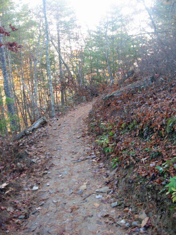 A winding dirt trail surrounded by trees and fallen leaves, leading into a wooded area with dappled sunlight filtering through the branches. Tsali Thompson Loop mountain bike trail.
