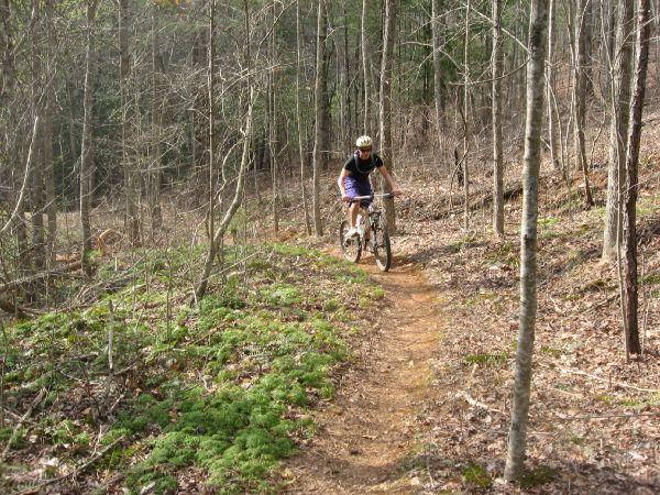 A mountain biker navigates a winding dirt trail through a dense, wooded area, surrounded by trees and patches of green moss. The scene captures the essence of outdoor adventure in a natural environment. Turner Creek Trail mountain bike trail.