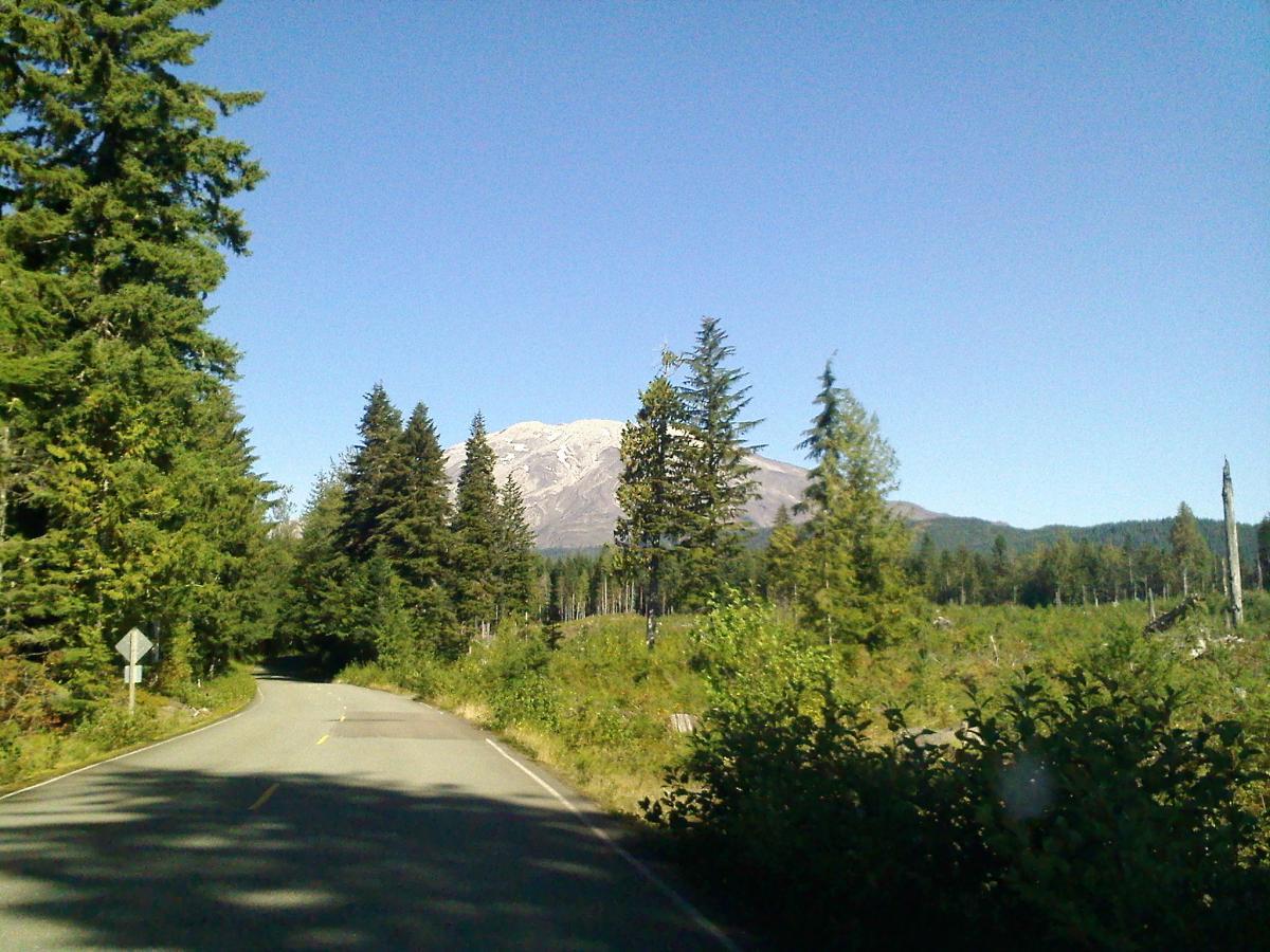 A winding road surrounded by lush green trees leads toward a snow-capped mountain in the distance under a clear blue sky. The scene captures a serene landscape, showcasing the natural beauty of the area. Ape Canyon#234, Abraham#216d, Smith Creek#225 Trails mountain bike trail.