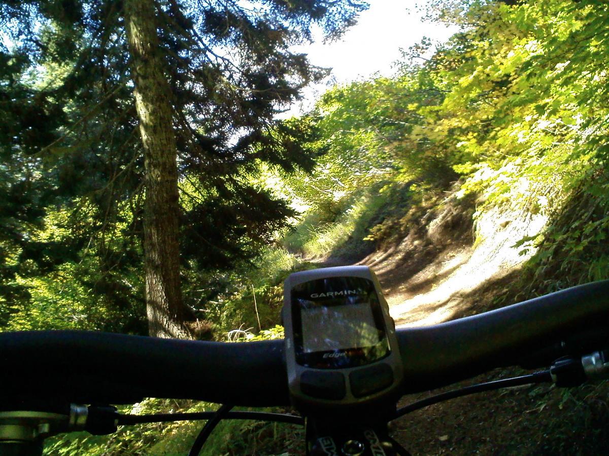 A view from the handlebars of a mountain bike on a narrow, winding trail surrounded by lush greenery and trees. A GPS device is prominently displayed on the handlebar. Ape Canyon#234, Abraham#216d, Smith Creek#225 Trails mountain bike trail.