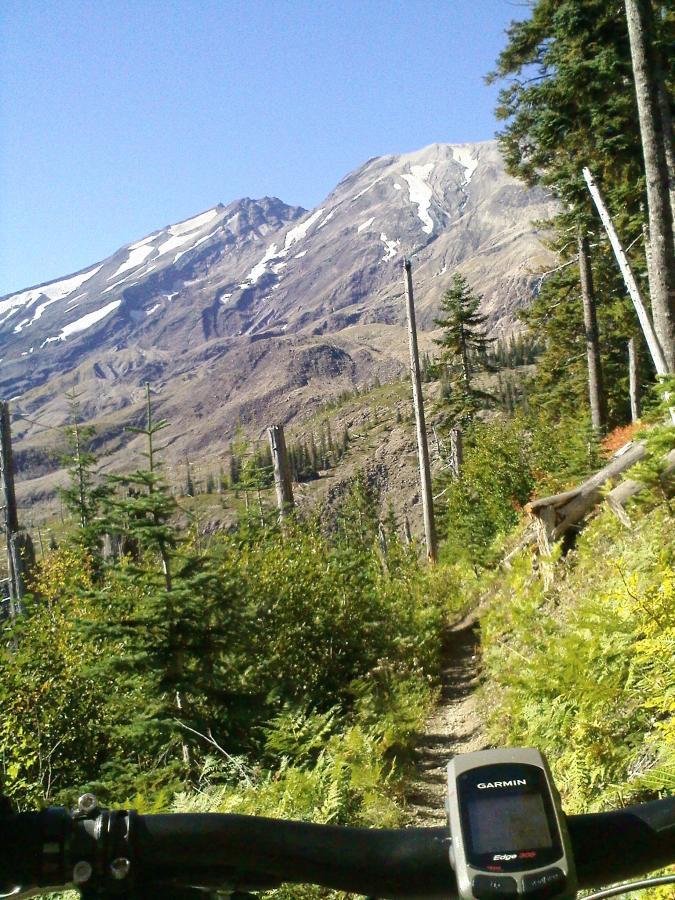 A view of a mountainous landscape with snow-capped peaks under a clear blue sky, framed by lush green trees. The foreground shows a bike handlebar with a GPS device, indicating a biking trail winding through the foliage. Ape Canyon#234, Abraham#216d, Smith Creek#225 Trails mountain bike trail.