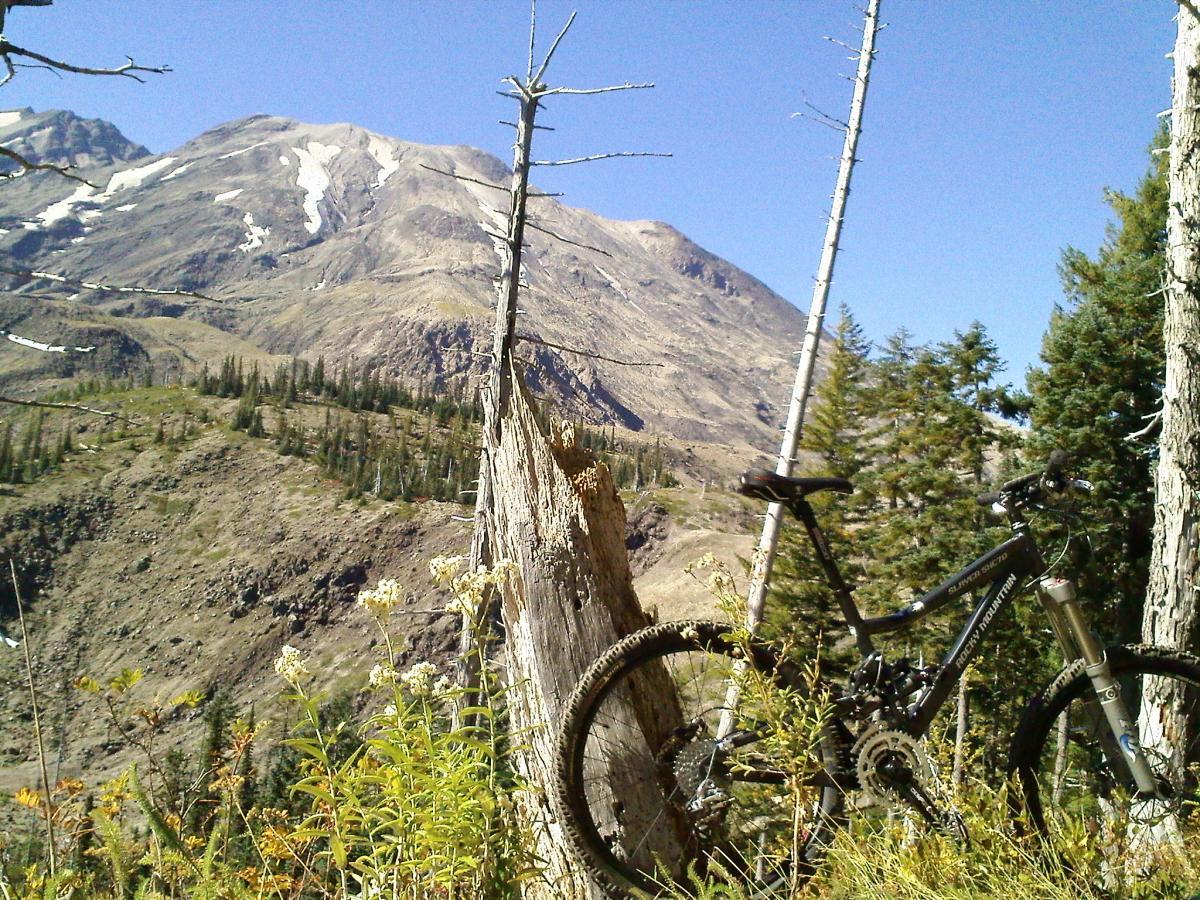 A mountain bike is leaning against a weathered tree stump in a mountainous landscape. In the background, snow-capped peaks rise against a clear blue sky, while lush green trees and wildflowers add color to the foreground. The scene captures a serene outdoor setting ideal for cycling and adventure. Ape Canyon#234, Abraham#216d, Smith Creek#225 Trails mountain bike trail.