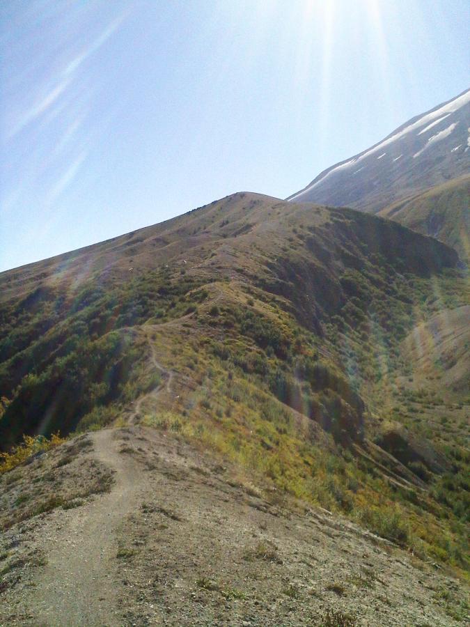 A scenic view of a mountain ridge with gentle slopes, featuring a winding dirt path leading into the distance. The landscape is dotted with patches of greenery, under a bright blue sky with sunlight creating a lens flare effect. Snow-capped peaks are visible in the background, adding to the natural beauty of the scene. Ape Canyon#234, Abraham#216d, Smith Creek#225 Trails mountain bike trail.