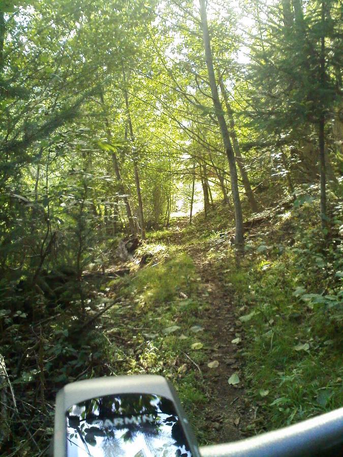 A narrow forest trail surrounded by green trees and sunlight filtering through the canopy. In the foreground, a device displaying navigation information is visible, indicating a focus on outdoor exploration. Ape Canyon#234, Abraham#216d, Smith Creek#225 Trails mountain bike trail.
