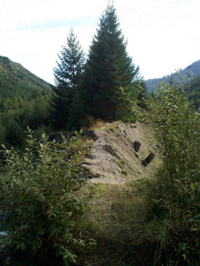 A serene landscape featuring a dirt pathway bordered by lush greenery, leading to a rocky slope. Tall conifer trees rise prominently in the background against a clear sky, while rolling hills are visible in the distance, creating a peaceful natural setting. Ape Canyon#234, Abraham#216d, Smith Creek#225 Trails mountain bike trail.