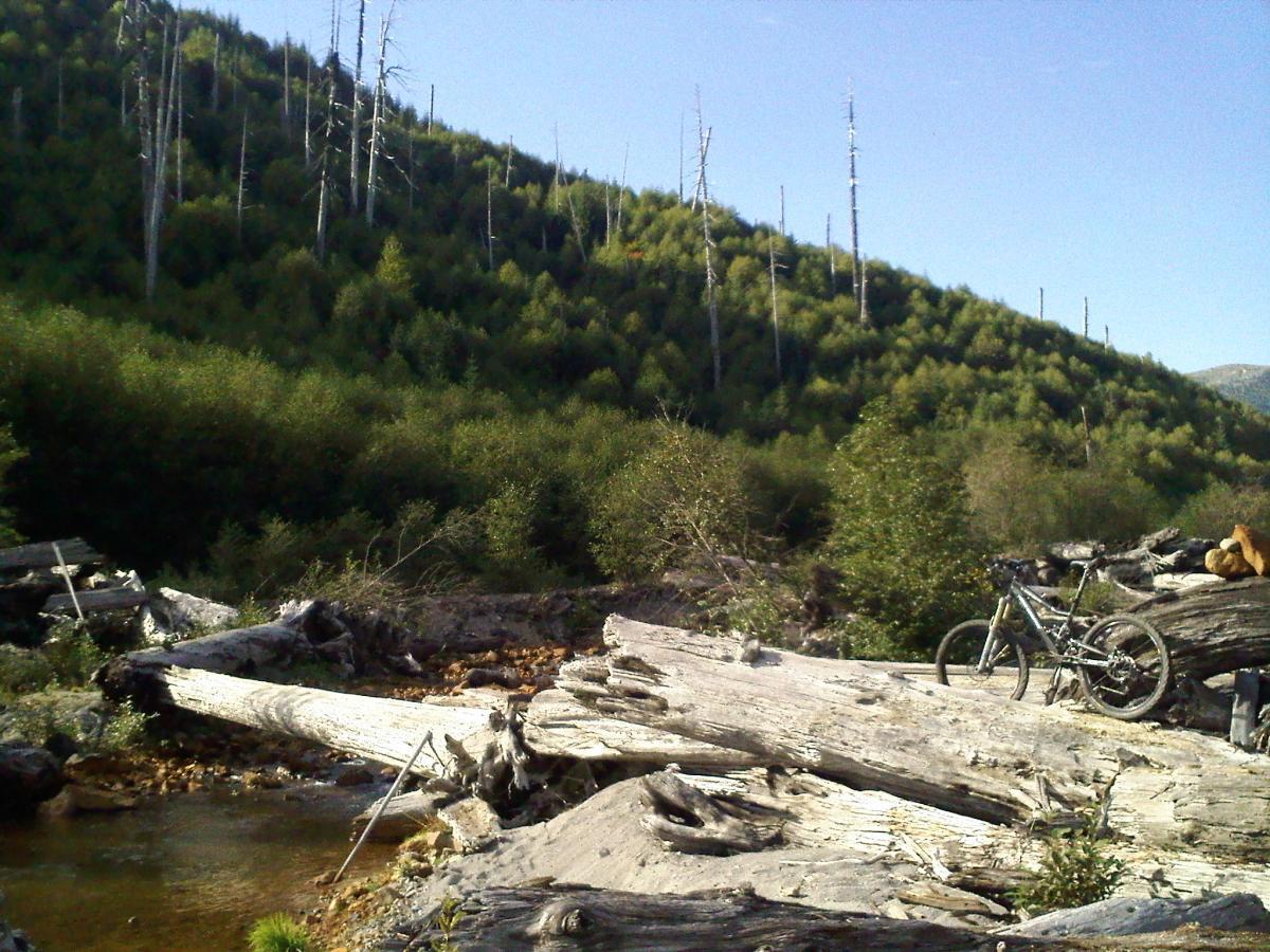 A serene landscape featuring a rocky stream with logs scattered along the banks. In the background, a lush green hillside with a mix of healthy trees and dead trunks rises under a clear blue sky. A mountain bike rests among the logs, indicating an outdoor recreational area. Ape Canyon#234, Abraham#216d, Smith Creek#225 Trails mountain bike trail.
