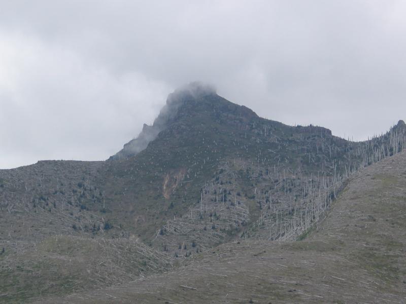 A mountainous landscape featuring a peak partially obscured by clouds. The foreground shows steep, grassy slopes with scattered patches of dead trees and stumps, indicative of past forestry activity. The scene is set against a cloudy sky, creating a moody atmosphere. Ape Canyon#234, Abraham#216d, Smith Creek#225 Trails mountain bike trail.