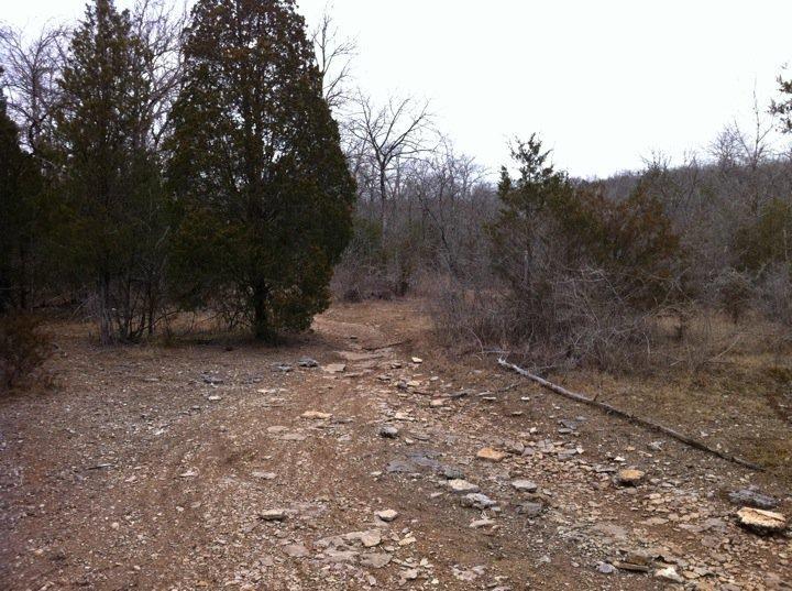 A rugged, unpaved trail winding through a wooded area. The path is lined with rocks and surrounded by a mix of evergreen and bare trees, under a cloudy sky. Jones Mill mountain bike trail.