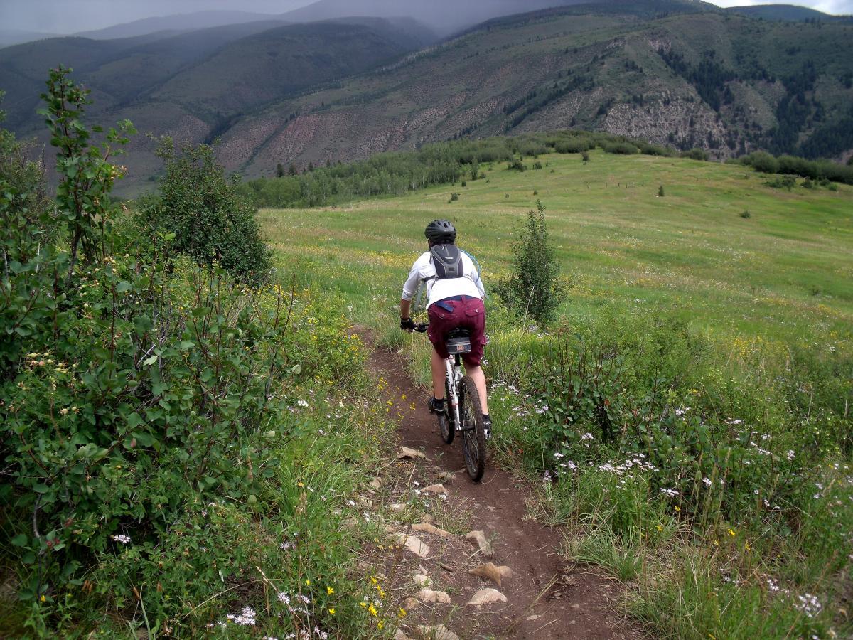 A person riding a mountain bike along a narrow dirt trail surrounded by lush greenery and wildflowers, with rolling hills and mountains in the background under a cloudy sky. Meadow Mountain mountain bike trail.