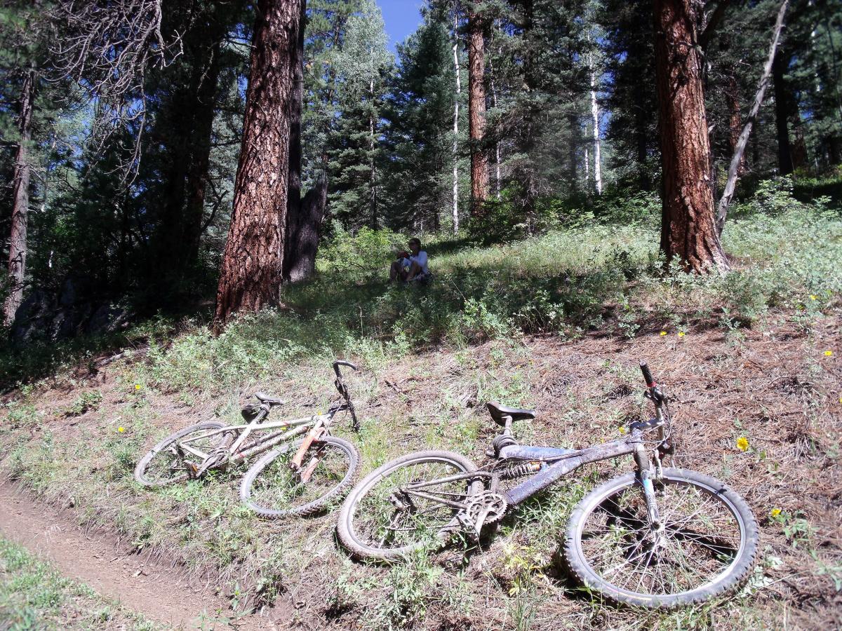 Two mountain bikes resting on a dirt trail surrounded by greenery and tall trees in a forested area, with a person sitting on the grass in the background. Hermosa Creek Trail mountain bike trail.