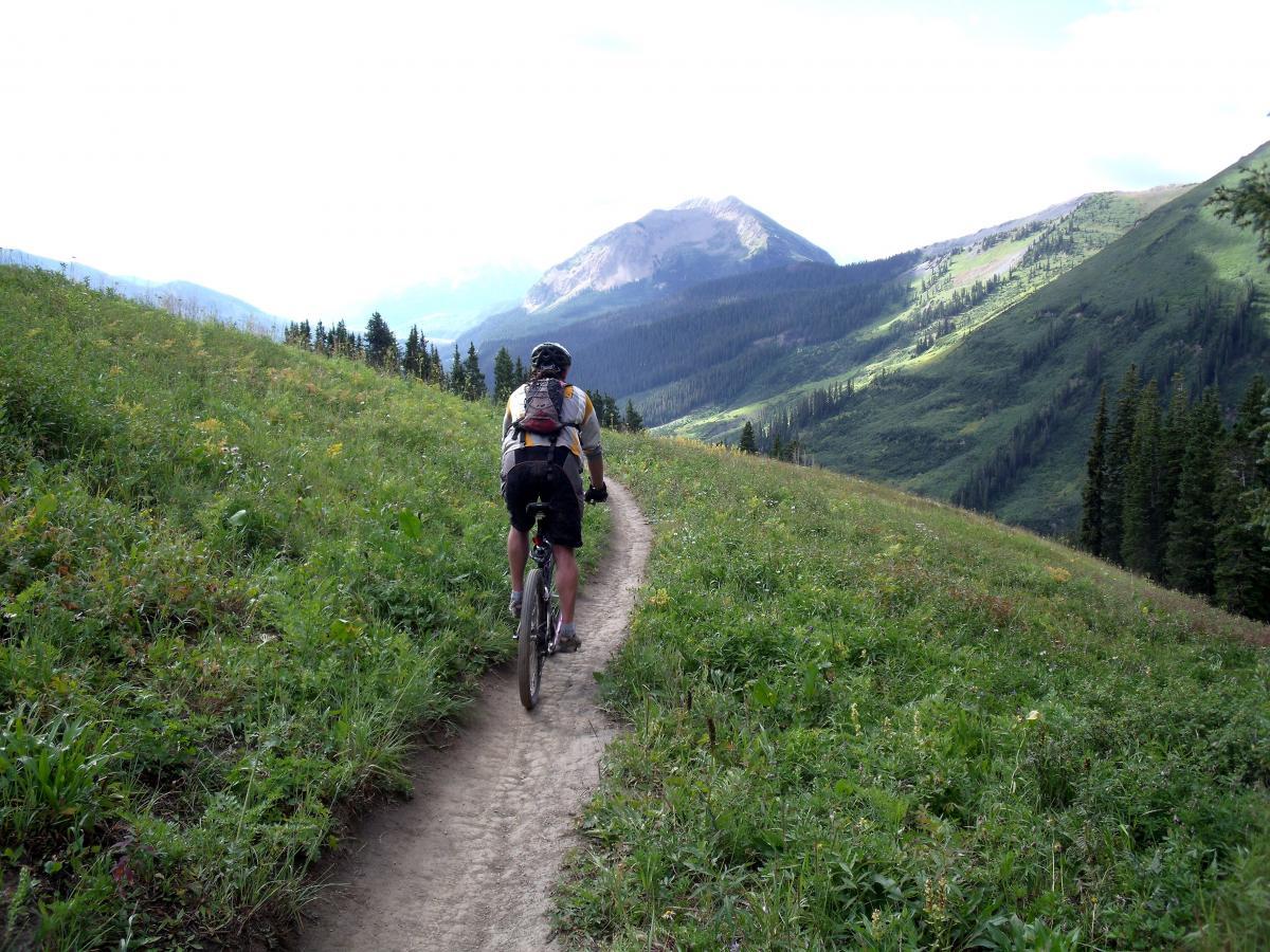A person riding a mountain bike on a dirt trail surrounded by lush green grass and wildflowers, with rolling hills and mountains in the background under a partly cloudy sky. Trail 401 mountain bike trail.