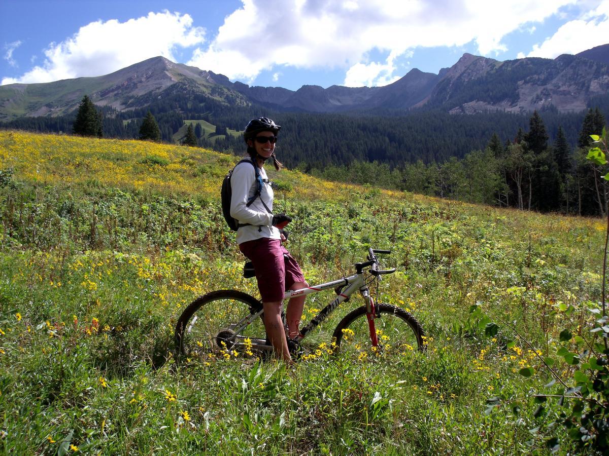 A cyclist wearing a helmet and a backpack stands next to a mountain bike in a vibrant field filled with wildflowers, set against a backdrop of green mountains and a blue sky with fluffy clouds. Trail 401 mountain bike trail.