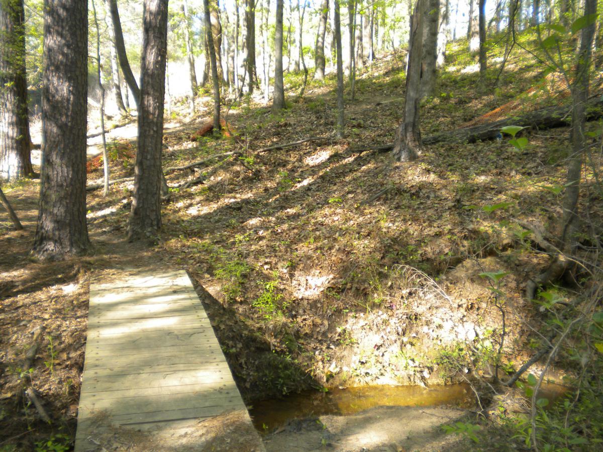 A wooden footbridge crosses a small stream in a wooded area, surrounded by tall trees and gentle slopes covered in fallen leaves and underbrush, with dappled sunlight filtering through the foliage. The Trails At The Beach mountain bike trail.