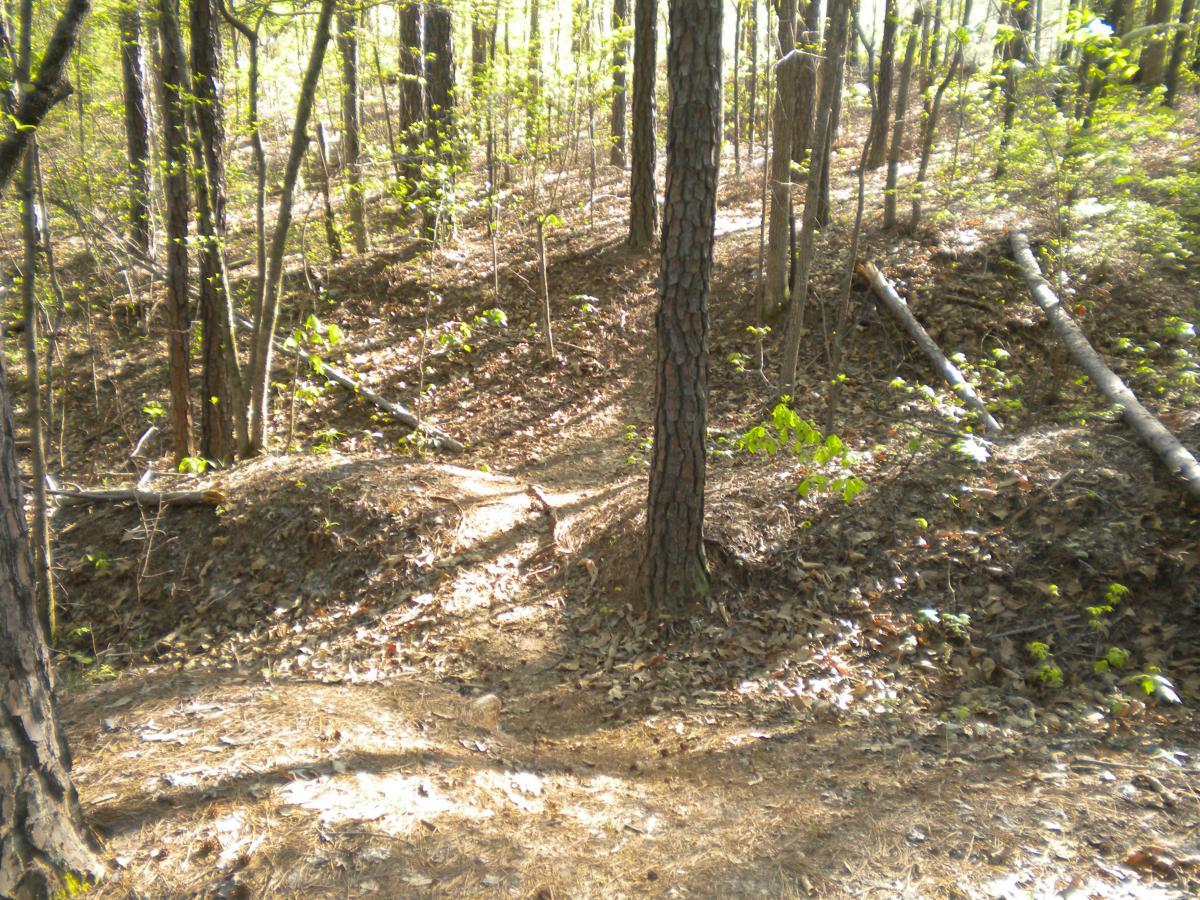 A winding dirt trail through a green forest, surrounded by tall trees and scattered fallen branches. The ground is covered with leaves and scattered patches of sunlight filter through the canopy above. The Trails At The Beach mountain bike trail.